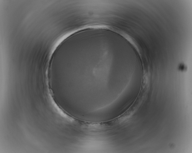 X0000113340959200909291026