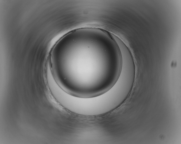 X0000113340960200909291026