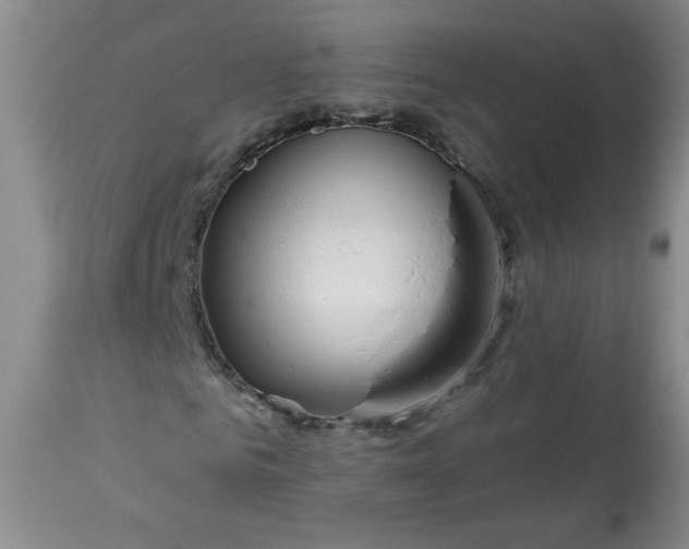 X0000113340961200909291026