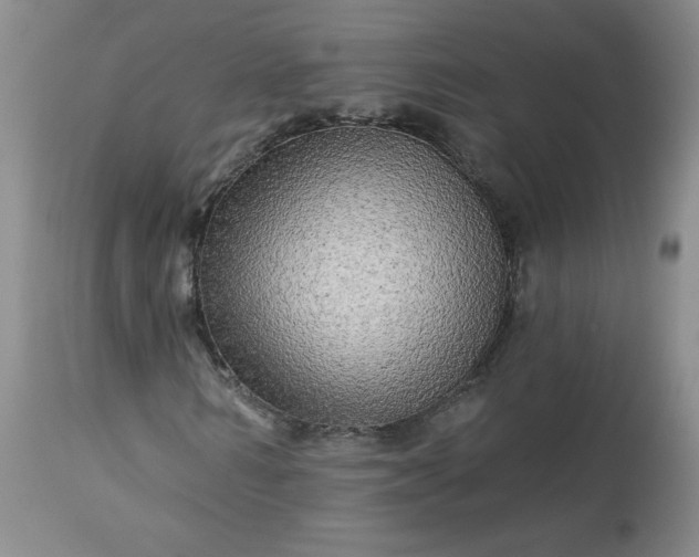 X0000113340962200909291026