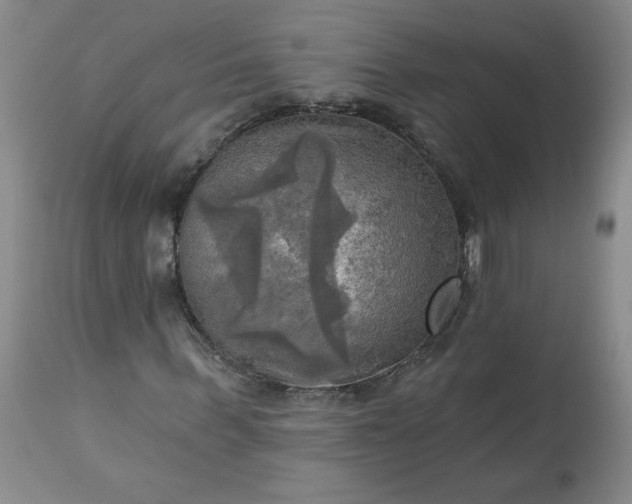 X0000113340963200909291026