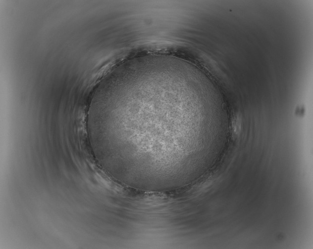 X0000113340964200909291026