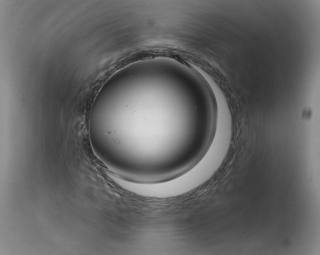 X0000113340965200909291026