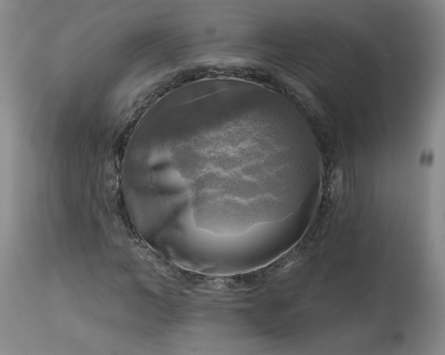 X0000113340966200909291026