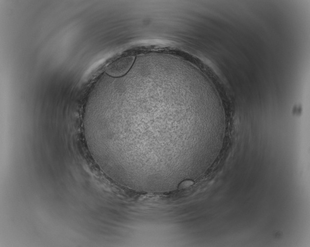 X0000113340967200909291026