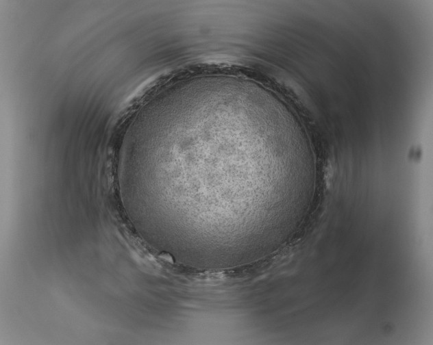 X0000113340968200909291026