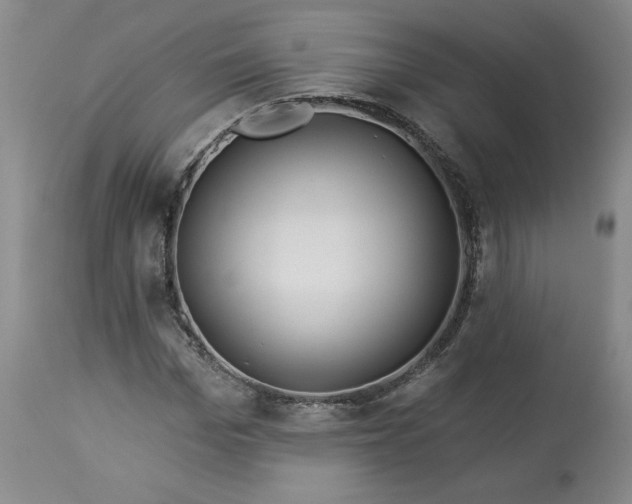 X0000113340969200909291026