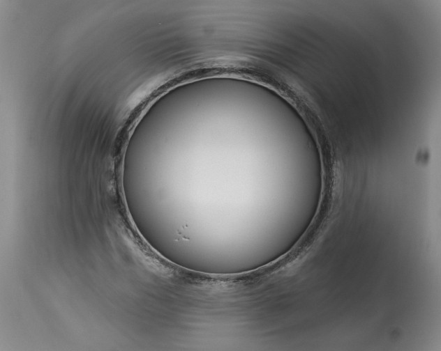 X0000113340970200909291026