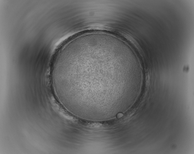 X0000113340971200909291026