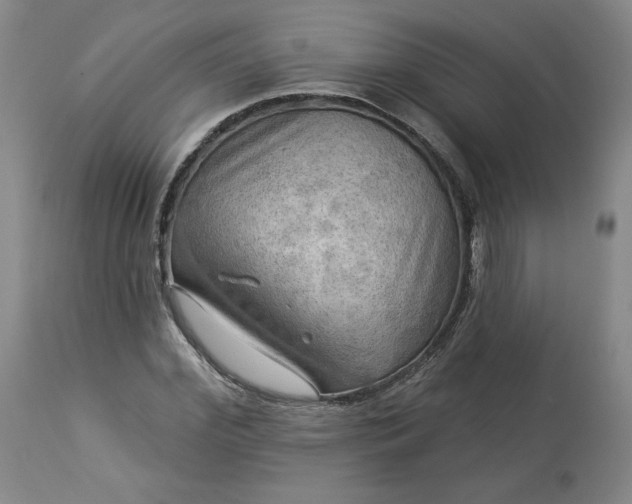 X0000113340972200909291026