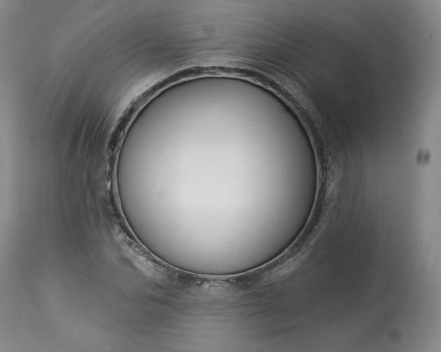 X0000113340974200909291026