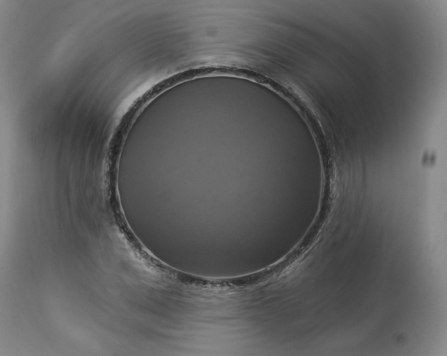 X0000113340975200909291026