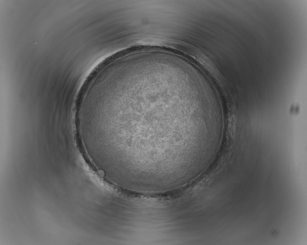 X0000113340976200909291025