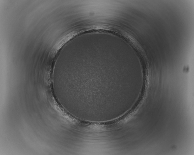 X0000113340977200909291025