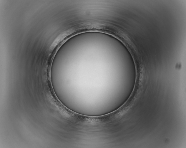 X0000113340978200909291025