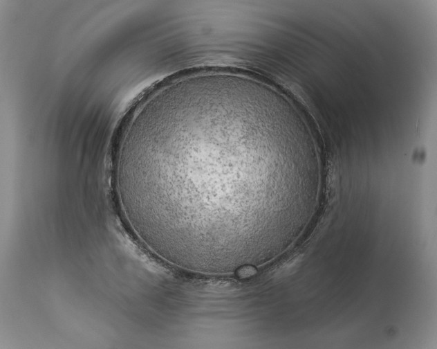 X0000113340979200909291025