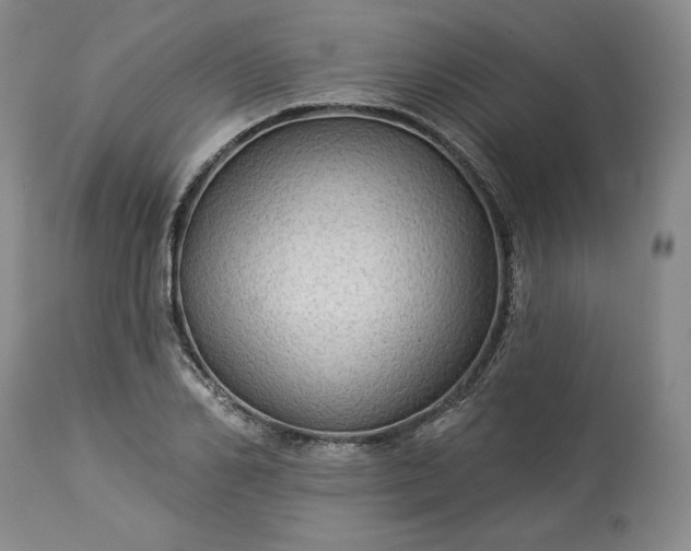 X0000113340982200909291025