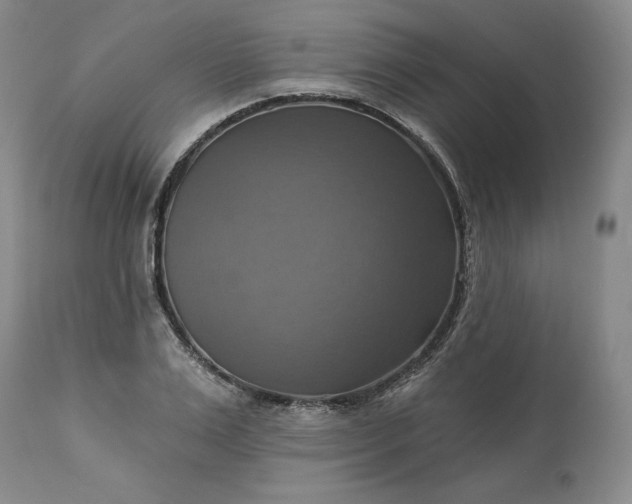 X0000113340983200909291025