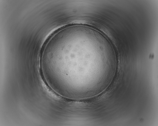 X0000113340984200909291025