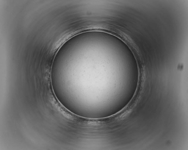 X0000113340985200909291025