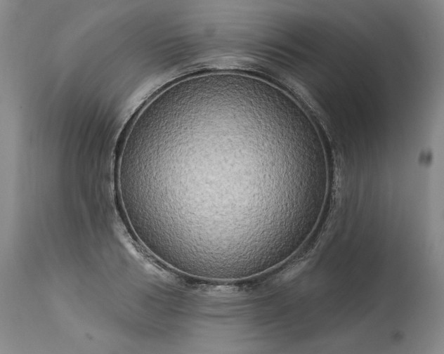 X0000113340986200909291025