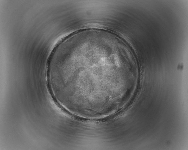 X0000113340987200909291025