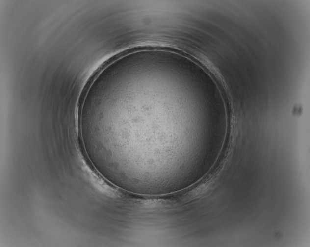 X0000113340988200909291025