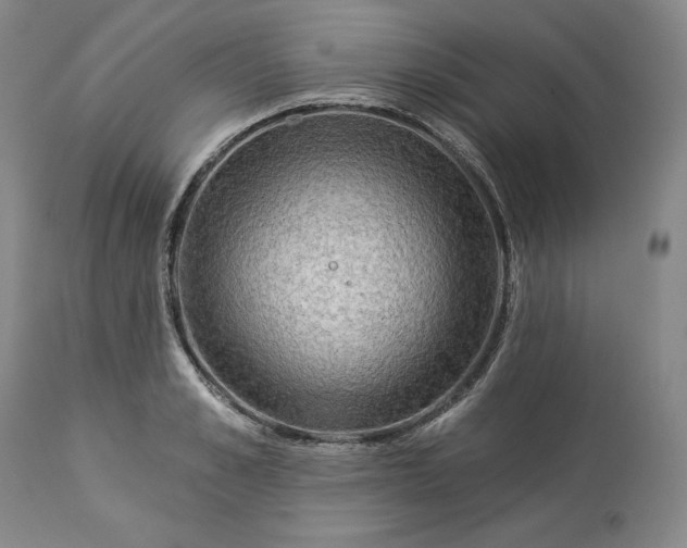 X0000113340989200909291025