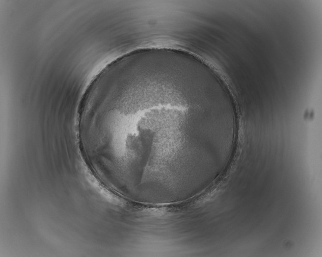 X0000113340990200909291025