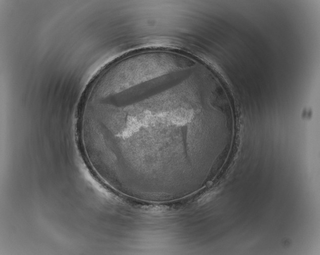 X0000113340991200909291025