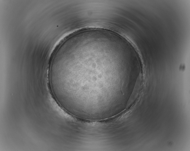 X0000113340992200909291025