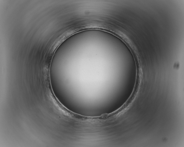 X0000113340993200909291025