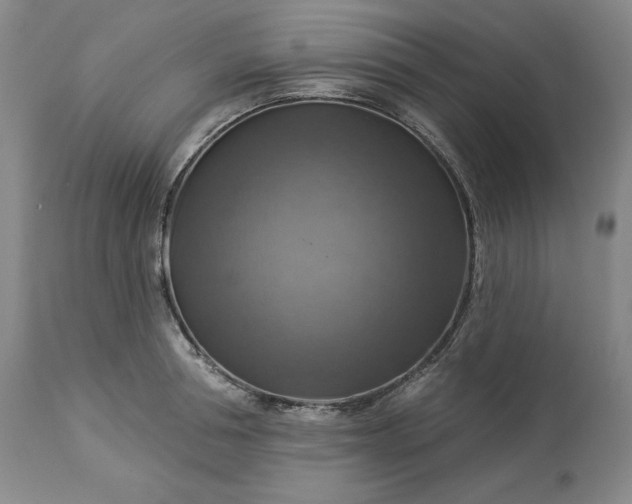 X0000113340994200909291025