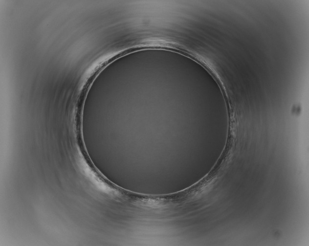 X0000113340995200909291025