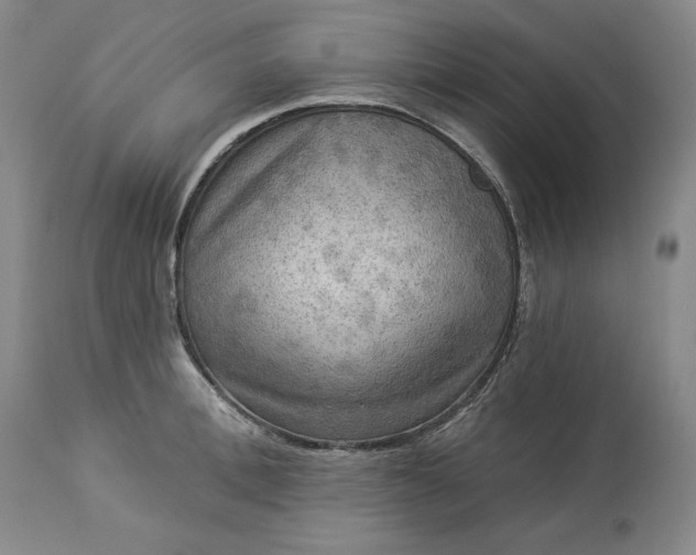 X0000113340996200909291025