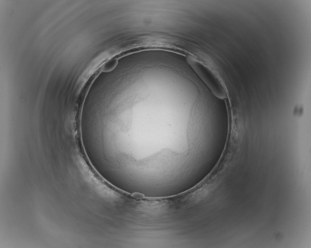 X0000113340997200909291025