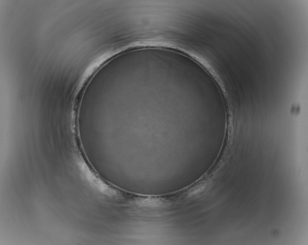 X0000113340998200909291025