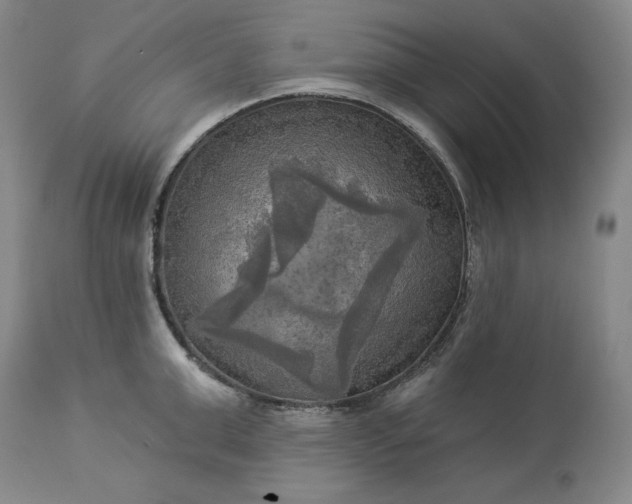 X0000113340999200909291025