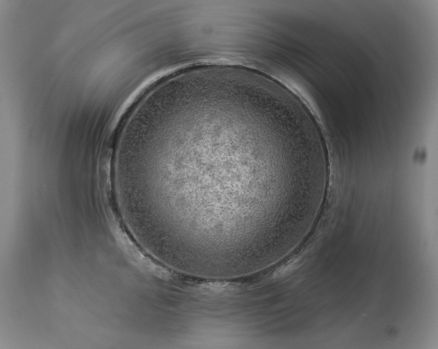 X0000113341000200909291025