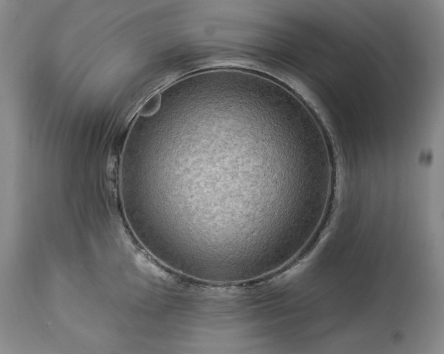 X0000113341001200909291025