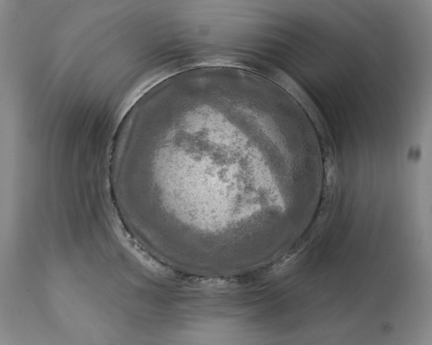 X0000113341002200909291025