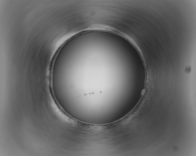 X0000113341003200909291025