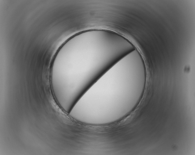 X0000113341004200909291025