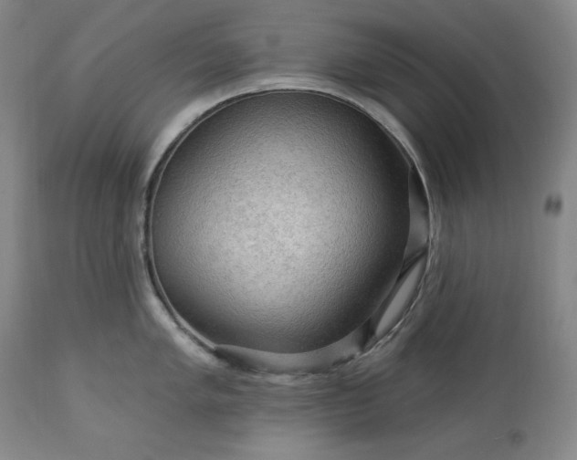 X0000113341005200909291025