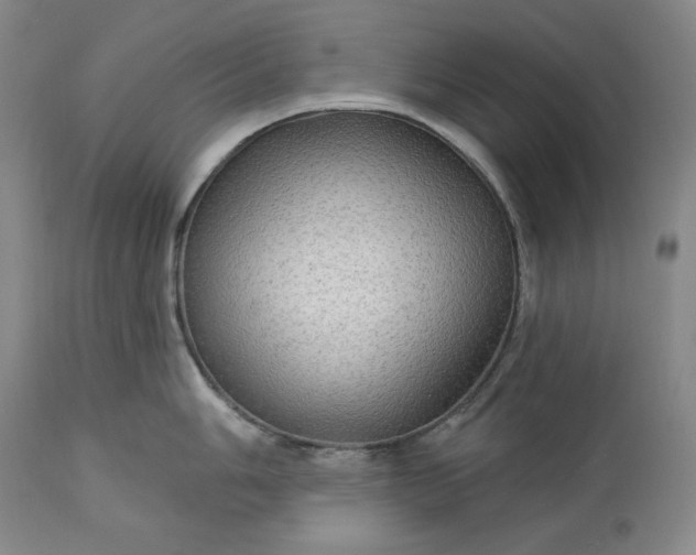 X0000113341006200909291025