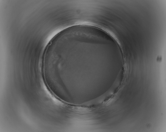 X0000113341007200909291025