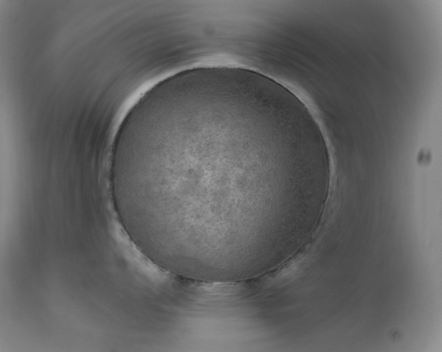 X0000113341008200909291025