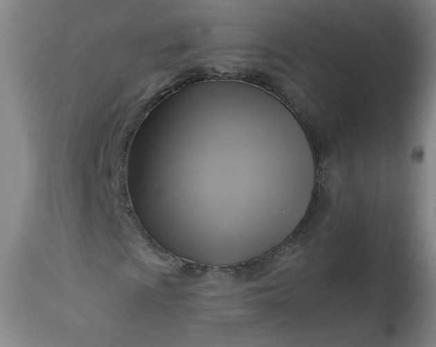 X0000113341009200909291024