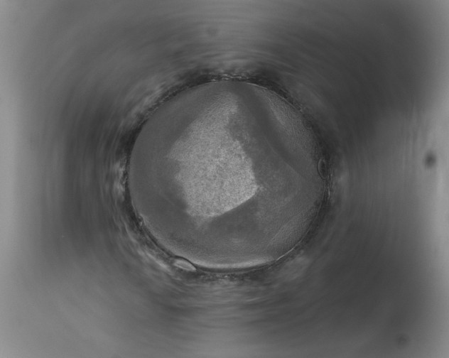 X0000113341010200909291024