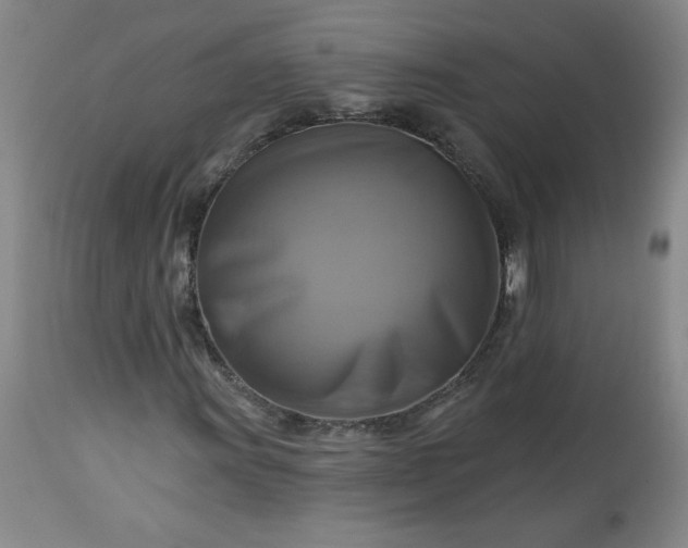 X0000113341011200909291024